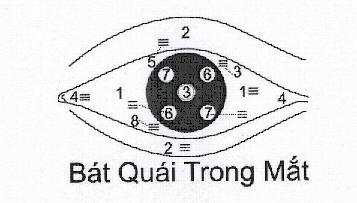 Description: tuyenn1